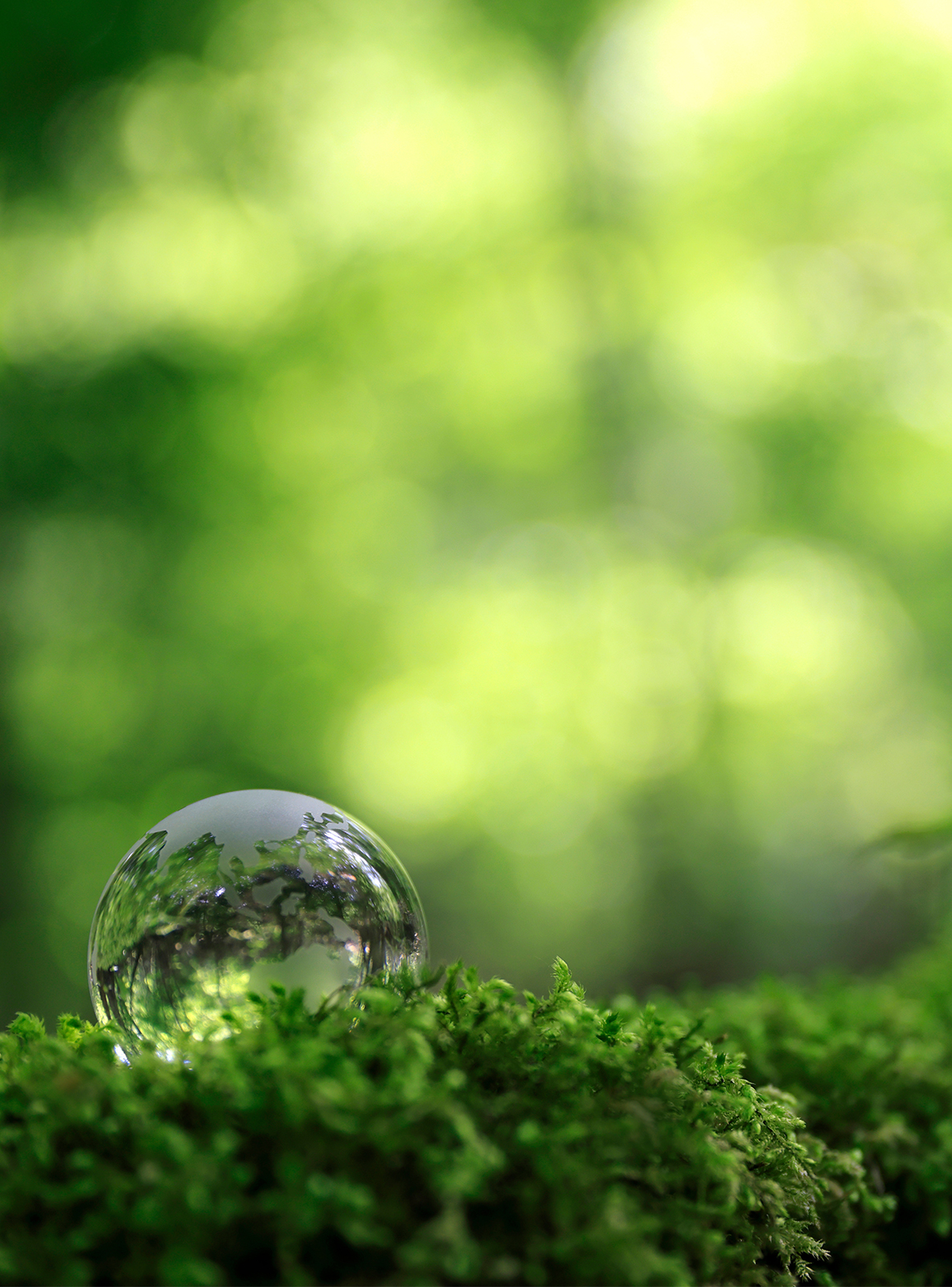 クリアコンサルティングのシナジー効果