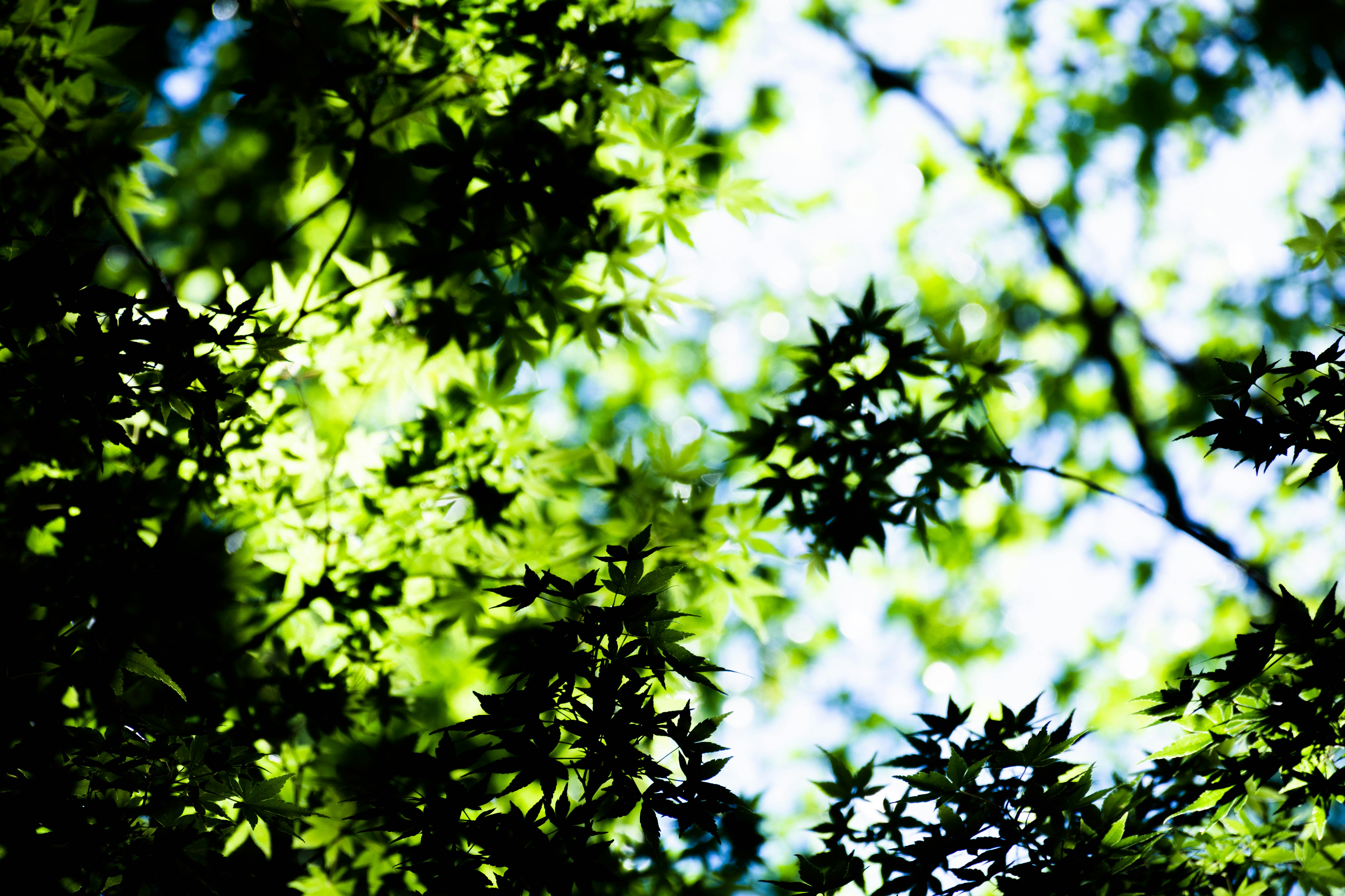 クリアコンサルティングの会計・税務について