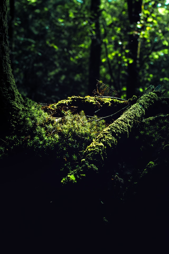 会話形式で楽しく学ぶ人事労務管理の基礎講座